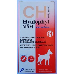 Hyalophyt MSM 120 comprimidos