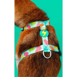 GUMMY arnés espalda S