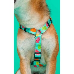 GUMMY arnés espalda M