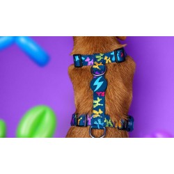 BLOOP arnés espalda L