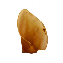 Oreja ternera